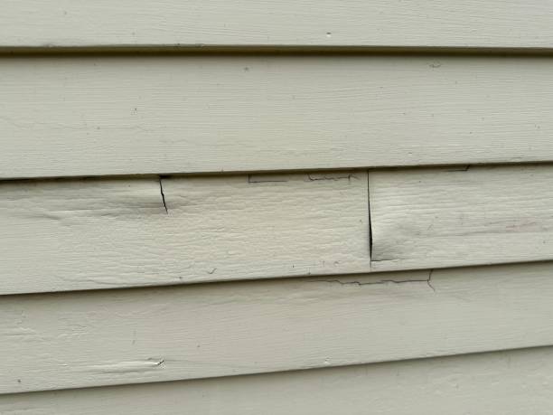 Best Property Management Cleanouts  in Hartford, MI